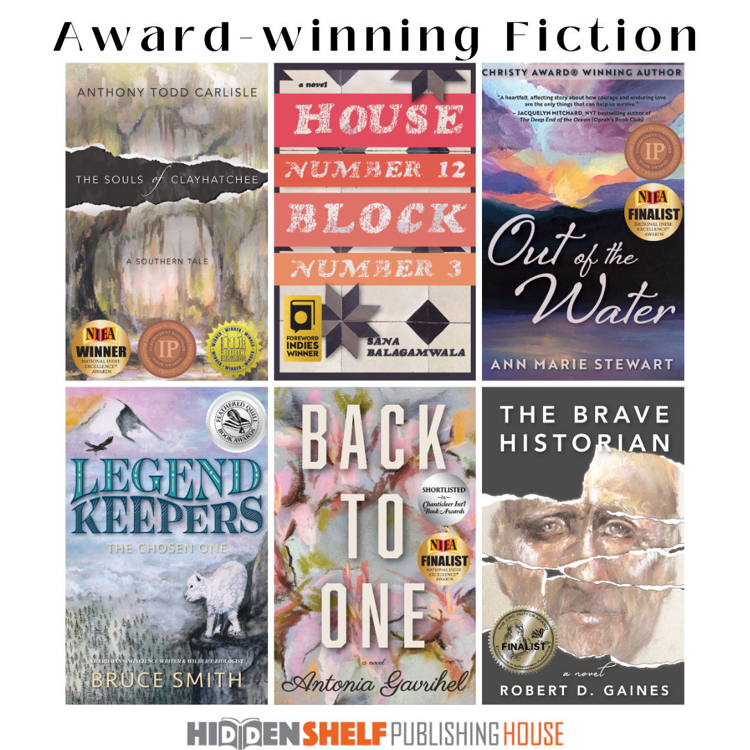 Awardwinning Fiction from Hidden Shelf Publishing Hidden Shelf