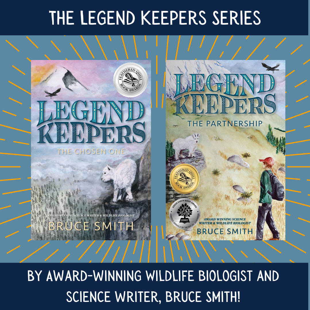 Legend Keepers: The Chosen One (Paperback)